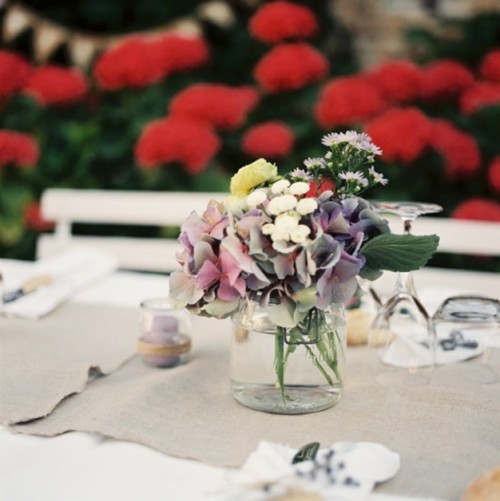 fleurs-majenia-provence