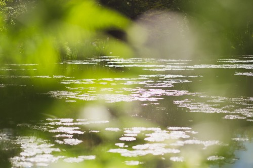 fleurdesucre-photographe-portrait-mariage-paris_majenia-annecy-rhone-alpes_jardins-monet-giverny--giverny_oh-hello-spring-002