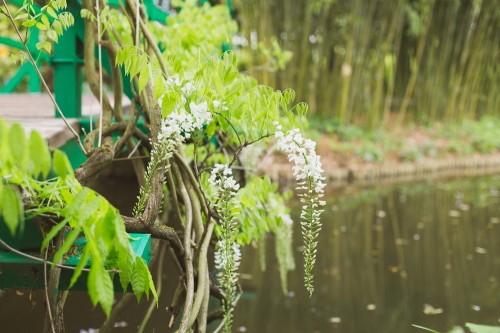 fleurdesucre-photographe-portrait-mariage-paris_majenia-annecy-rhone-alpes_jardins-monet-giverny--giverny_oh-hello-spring-004