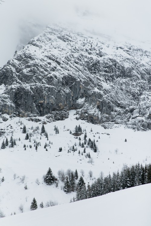 coraline-nicolas-couple-session-wedding-le-grand-bornand-france-haute-savoie-marion-co-photographe-marion-cougoureux (189 sur 316)