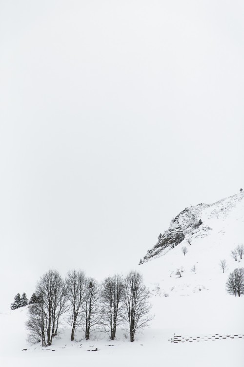 coraline-nicolas-couple-session-wedding-le-grand-bornand-france-haute-savoie-marion-co-photographe-marion-cougoureux (2 sur 316)