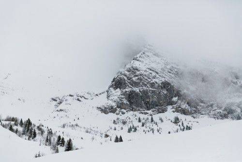 coraline-nicolas-couple-session-wedding-le-grand-bornand-france-haute-savoie-marion-co-photographe-marion-cougoureux (212 sur 316)