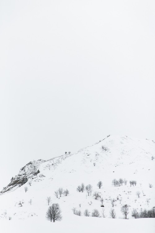 coraline-nicolas-couple-session-wedding-le-grand-bornand-france-haute-savoie-marion-co-photographe-marion-cougoureux (8 sur 316)